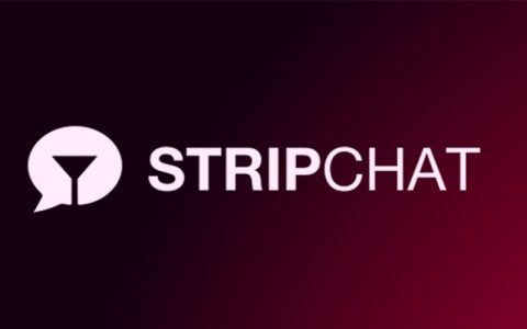StripChat成人视频网站漏洞,数千万用户敏感数据泄露